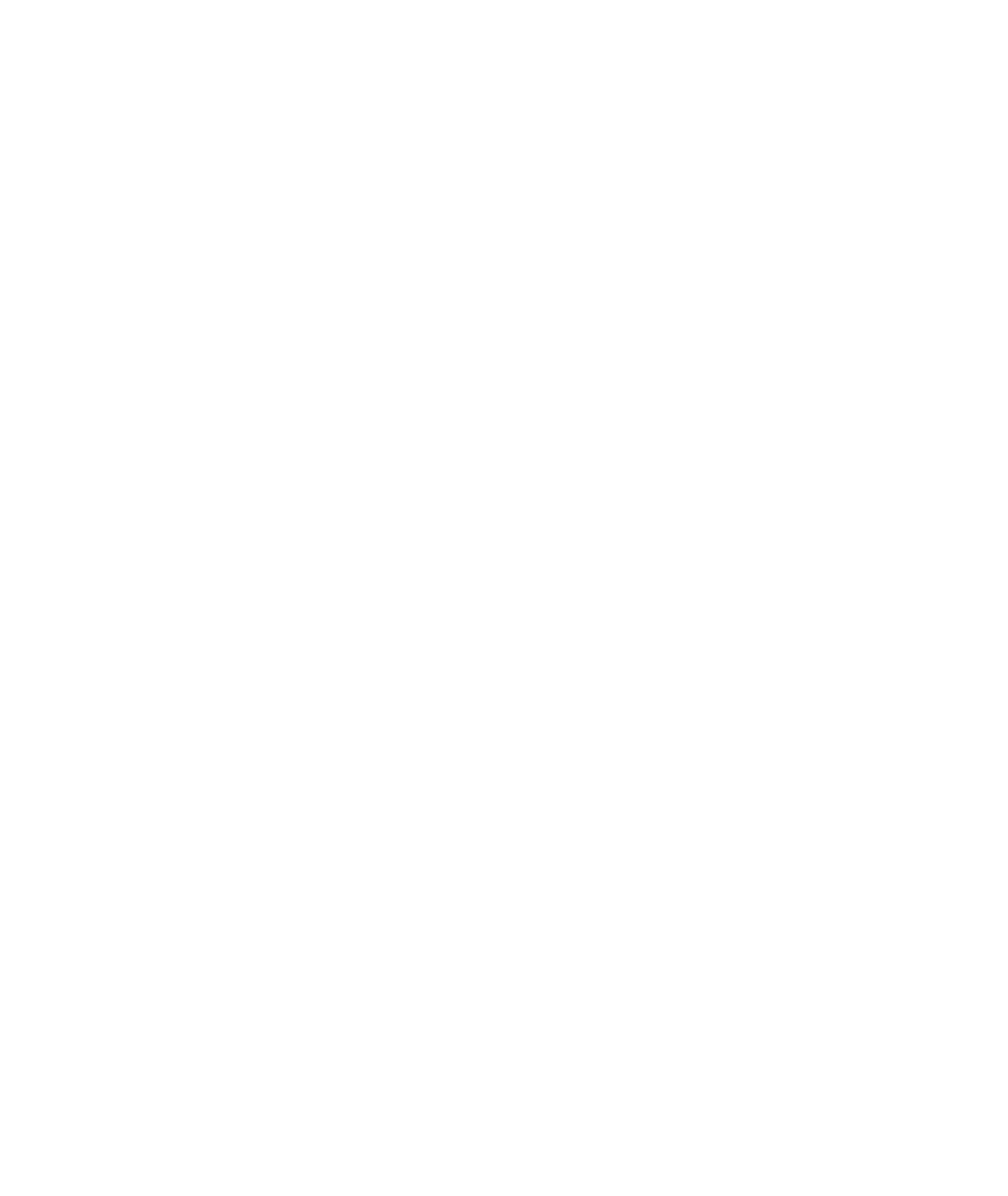 Massera Logo White